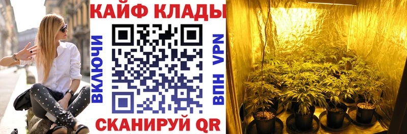ГАШ Злынка
