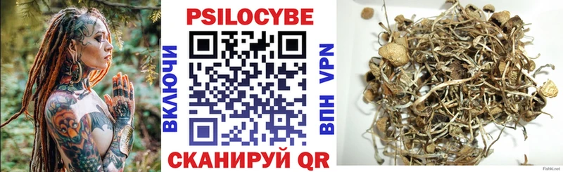 Галлюциногенные грибы Psilocybe  цена   Злынка 