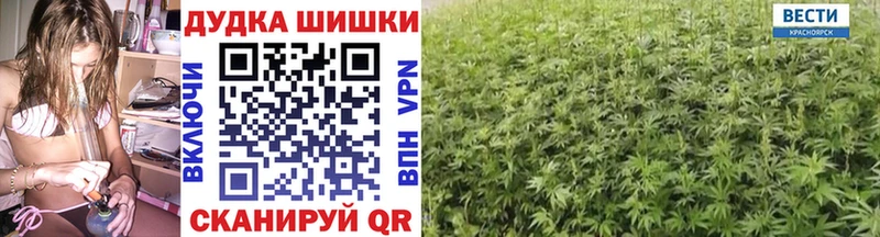 купить   Злынка  Канабис Ganja 